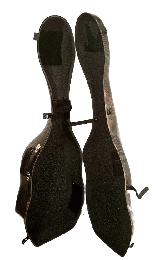 3D Safari Carbon Fiber Tenor Viola da Gamba Case