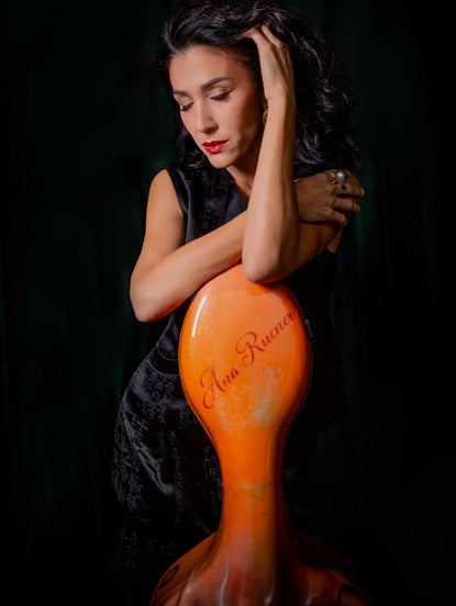 Ana Rucner cello case