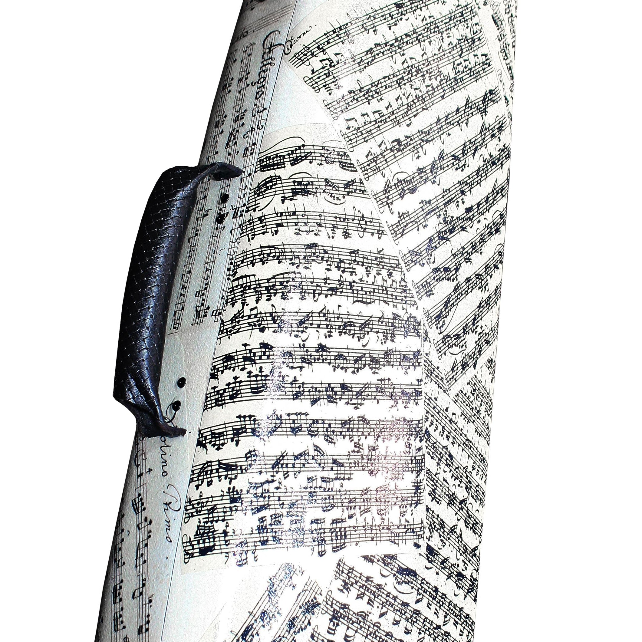 Music sheet patterned violin case